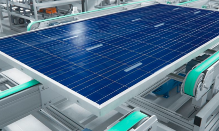 Who are the Top Solar Module Suppliers in India?